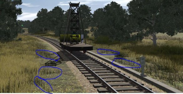 TRS 2019 98299 grass splines.jpg TRS 2019 98299 grass splines.jpg