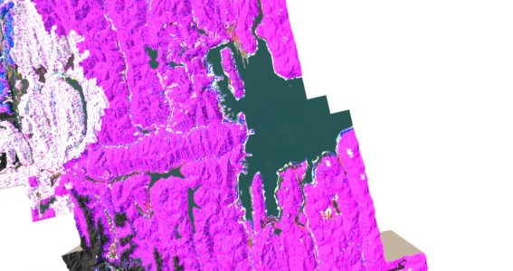 2020-02-27 235501.jpg