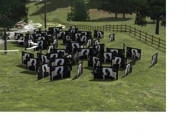 Cardboard Cows.jpg
